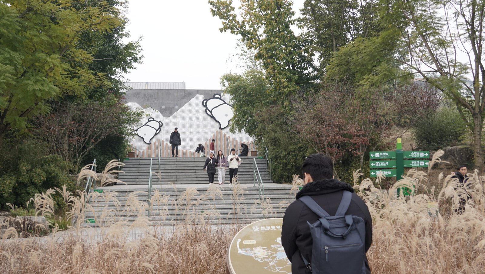 Who should visit Chengdu Panda Base — Photo by Hang Tran